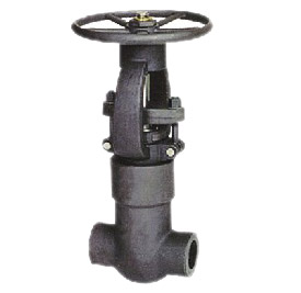 Pressure seal gate valve 800LB