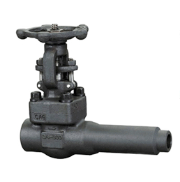 Extended body  gate valve 800LB