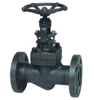 Forging Flanged globe valve 150LB