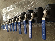 2PC NPT ball valves -1000WOG-WCB