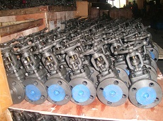 API602 flanged gate valve-800LB-A105 API602 flanged gate valve-800LB-A105