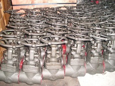 API602 NPT gate valve-800LB-A105 API602 NPT gate valve-800LB-A105