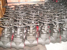 API602 NPT gate valve-800LB-A105