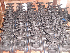 API602 Forging globe valve-800LB-A105