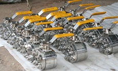 3pc butt welded ball valves -800LB