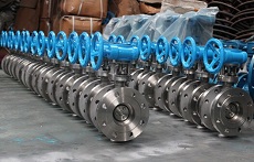 Butterfly Valve flanged SS316-150LB