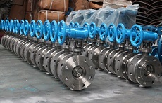 Butterfly Valve flanged SS316-150LB Butterfly Valve flanged SS316-150LB